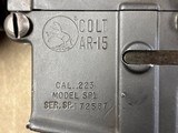 Colt SP-1 .223 Caliber - High Condition - 7 of 14