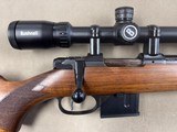 CZ 527 American - 6.5 Grendel w/ Bushnell Prime Scope 6-18X50 - 2 of 7