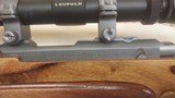 Ruger X-17 Custom All Weather Talo Edition of the Ruger 77/17 in 17HMR - 8 of 12