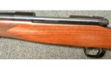 Winchester 70 7MM Cabelas Exclusive - 6 of 8