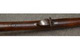 Springfield 1873 .45-70
rifle - 4 of 8