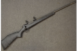 Weatherby Mark V 7 mm
STW - 1 of 7