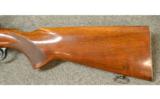 Winchester 70 Pre 64 .30 Gov 06
4251248 - 7 of 7
