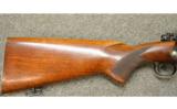 Winchester 70 (pre 64) .30 Gov
4251248 - 3 of 7