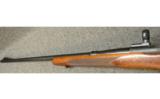 Winchester 70 (pre 64) .30 Gov
4251248 - 5 of 7
