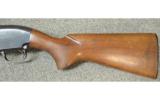 Winchester 12 12 GA
3960869 - 7 of 7