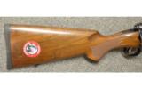 Savage 14 American Classic .204 Ruger - 3 of 7