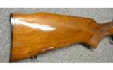 Winchester Model 70 in .300 RUM - 3 of 6