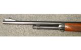 Winchester Model 64 in .32ws - 5 of 8