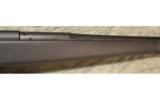Blaser R93 Synthetic in .257 Wby Mag - 6 of 6
