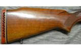 Winchester Model 70 Featherweight .264 Win Mag Pre - 2 of 8
