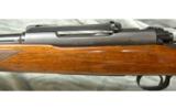 Winchester Model 70 in .308 win mfg 1953 - 7 of 8