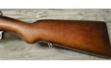 Argentino Mauser 1909 - 8 of 8