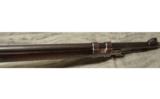 Argentino Mauser 1909 - 6 of 8