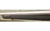 Remington Model 700 SS in .22-250 - 6 of 7