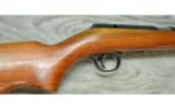 Daisy V/L Rifle .22 cal with over 200 rounds of am - 2 of 6