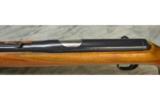 Daisy V/L Rifle .22 cal with over 200 rounds of am - 6 of 6