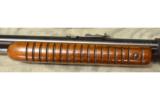 Winchester Model 61 in .22 Long Rifle - 7 of 8