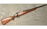 Winchester 70 Carbine in .243 Win - 1 of 7