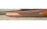 Winchester Model 70 in .270 Weatherby Mag - 8 of 8