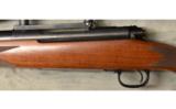 Winchester Model 70 in .270 Weatherby Mag - 7 of 8