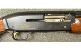 Browning Gold in 12 Gauge - 3 of 7