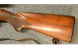 Winchester Model 100 in .308 Win - 5 of 7