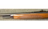 Browning Model 71 in .348 Win - 7 of 7