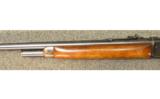 Winchester Model 71 in .348 Win - 5 of 7