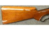 Winchester Model 71 in .348 Win - 2 of 7