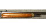 Winchester Model 71 in .348 Win - 4 of 7