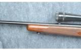 Winchester Model 88 .243 Winchester - 6 of 9