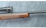 Winchester Model 88 .243 Winchester - 7 of 9
