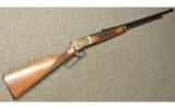 Browning BL-22 in .22 LR with 24 Inch Octagonal Barrel - 1 of 7