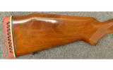 Winchester Model 70 in .338 Win Mag - 2 of 7