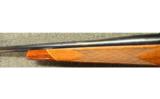 Weatherby Mark V in .340 Wby - 7 of 7