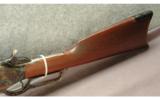Chaparral Model 1875 Rifle .50-95 Express - 6 of 7