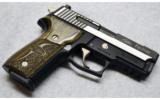 Sig Sauer P229 Equinox in .40 S&W - 2 of 2