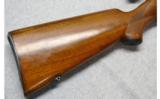 Winchester Model 52 in .22 LR - 2 of 7