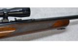 Winchester Model 43 in .218 Bee - 4 of 7