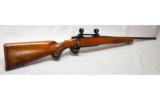 Ruger M77 in .250 Savage - 1 of 7
