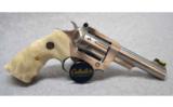 Ruger SP101 in .22 LR - 2 of 2