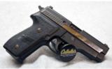 Sig Sauer P229 in .40 S&W - 2 of 2