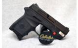 Smith and Wesson Bodyguard with CT Laser in .380 Auto - 2 of 2