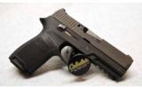 Sig Sauer P250 in .40 S&W - 2 of 2