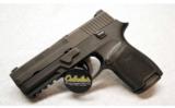Sig Sauer P250 in .40 S&W - 1 of 2