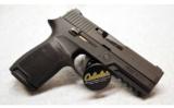 Sig Sauer P250 in .40 S&W - 2 of 2