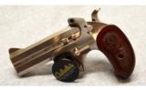 Bond Arms Snake Slayer IV in .45 Colt / .410 Gauge - 1 of 2