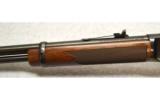 Winchester Model 9422 in .22 LR - 7 of 7