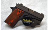 Sig Sauer P238 in .380 ACP - 2 of 2